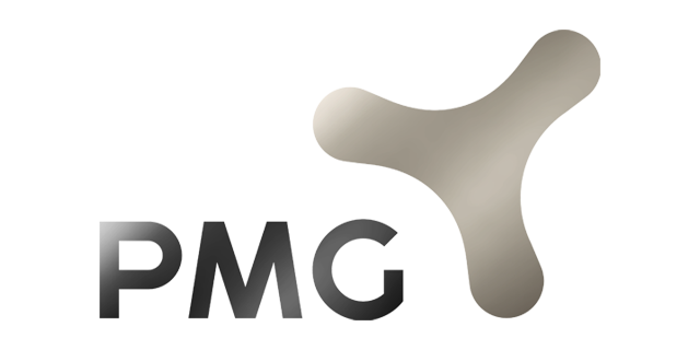 Logo der PMG Holding